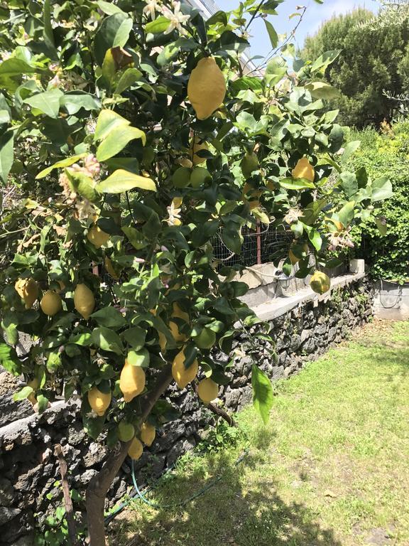 Al Villino Villa CTA Eksteriør billede